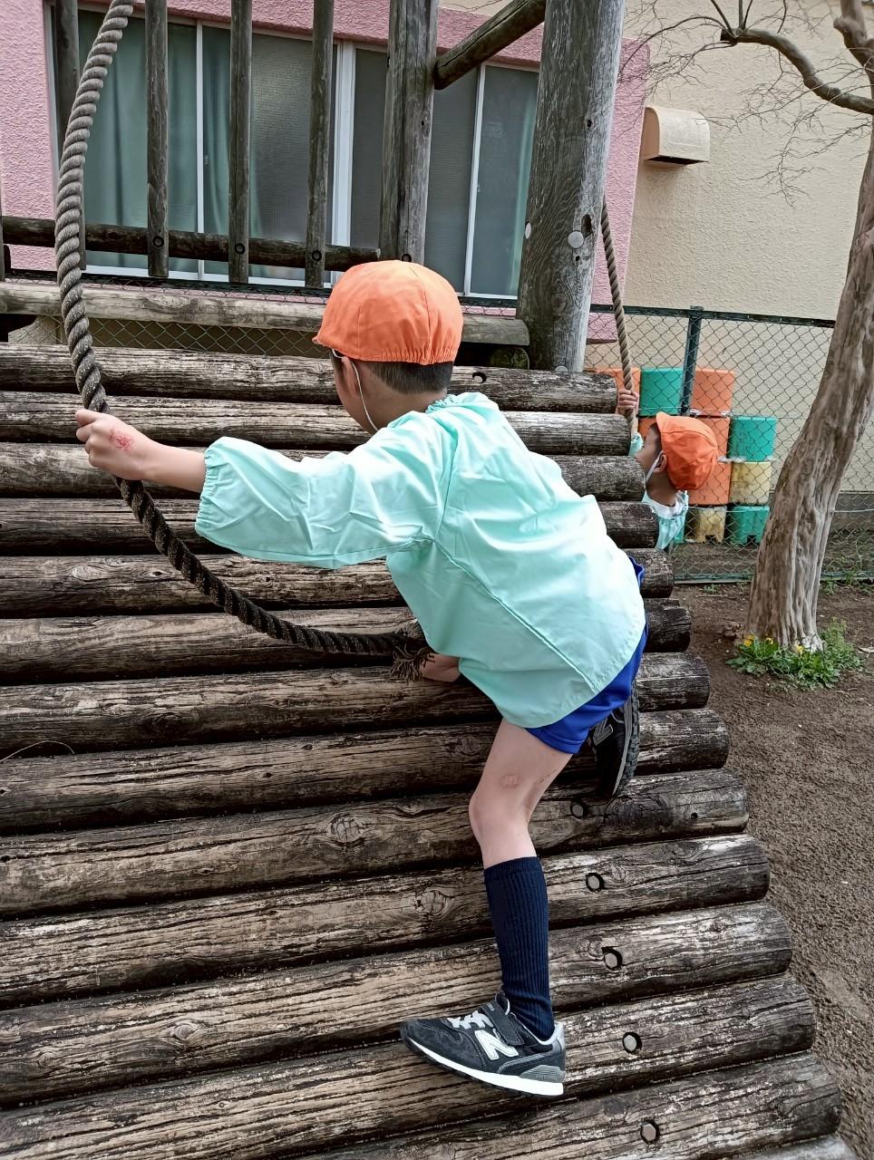 2025年4月のアルバム その１