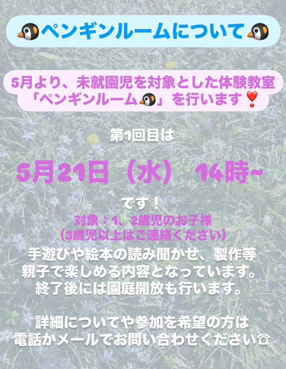 令和7年度 幼稚園体験教室のお知らせ